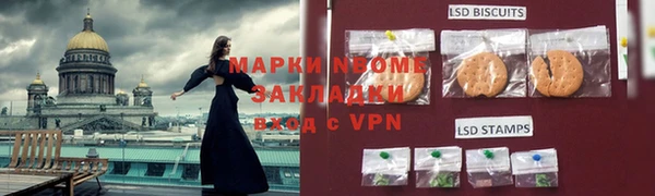 стафф Аркадак