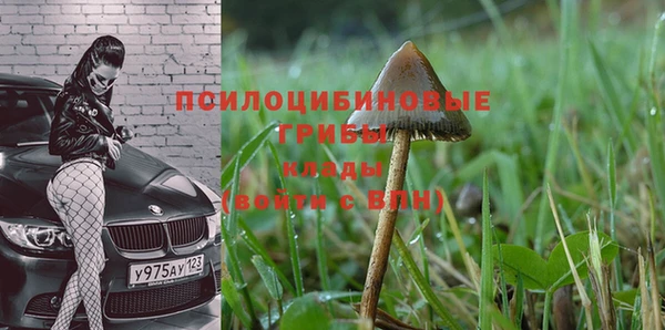 гидра Балахна