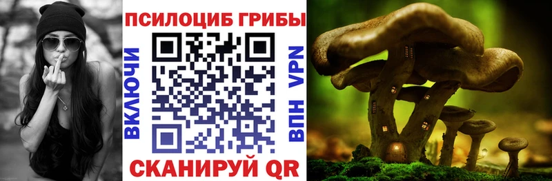 Псилоцибиновые грибы Psilocybine cubensis  ссылка на мегу зеркало  Катав-Ивановск 